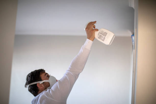 Best Industrial Mold Remediation in Hooper, UT