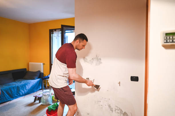 Best Commercial Mold Remediation in Hooper, UT